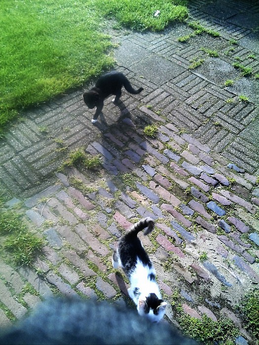 Het is weer zo ver - Foto: Eigen geleverde foto
