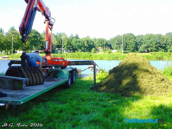 Verwijderen kroosvaren uit de Vecht
