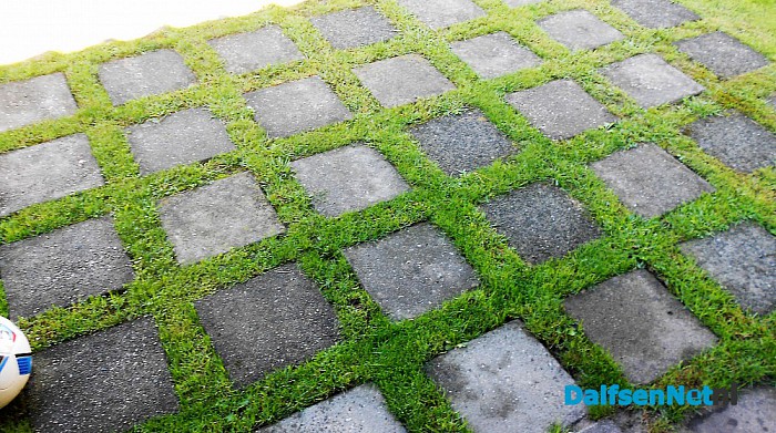Ruimte voor water, ook in je eigen tuin