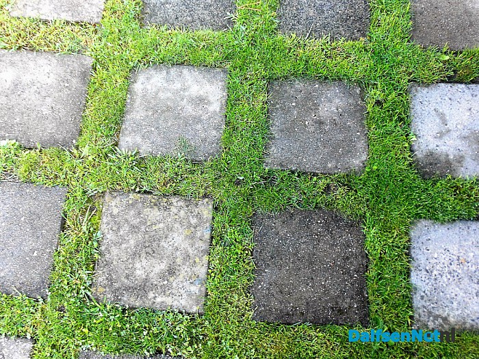 Ruimte voor water, ook in je eigen tuin