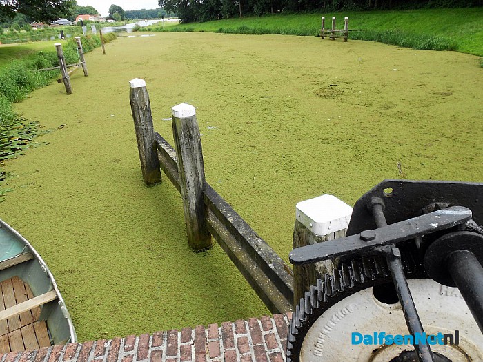 Het kroosvaren verdrijft de vissers