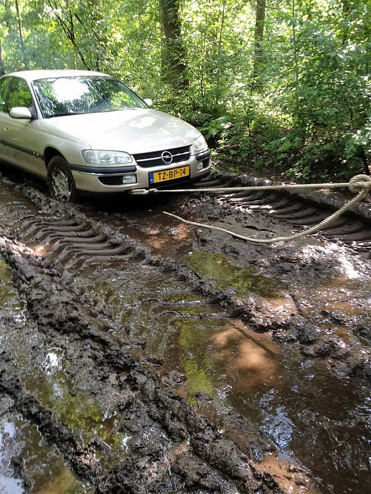 Navigatie stuurt mensen letterlijk het bos in - Foto: Eigen geleverde foto
