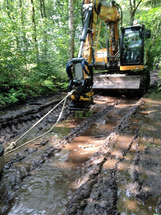 Navigatie stuurt mensen letterlijk het bos in - Foto: Eigen geleverde foto