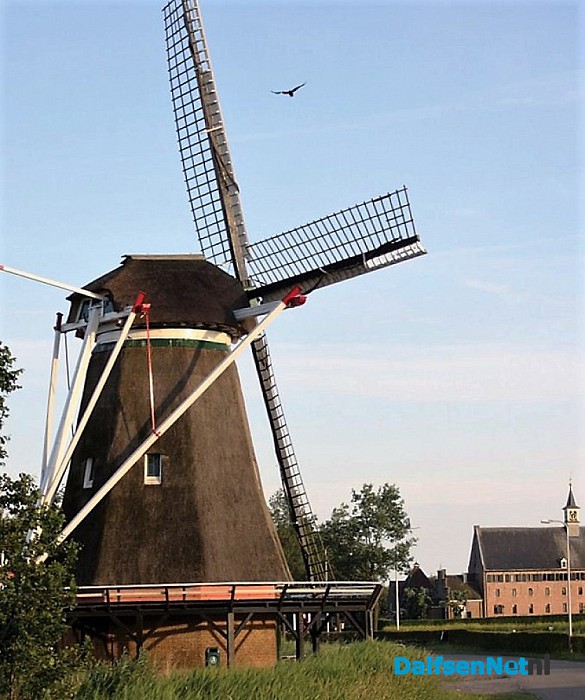De Windesheimer molen maalt