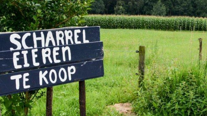 Op ‘kraamvisite’ met Groen Gebogen - Foto: Thomas Klomp
