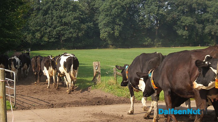 Taalvragers en taalcoaches gaan de boer op! - Foto: Ingezonden foto