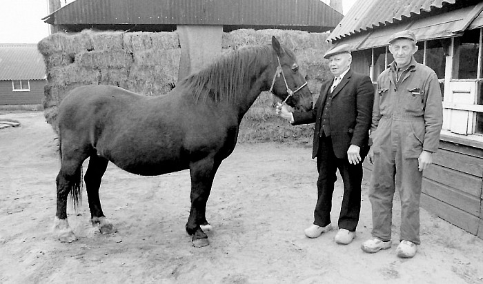 Namen gezocht - Foto: Historische Kring Dalfsen
