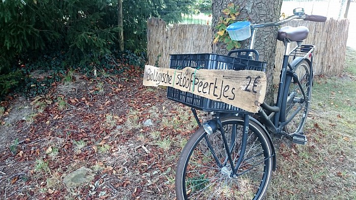 Ze zijn er weer! Lekkere stoofpeertjes - Foto: Eigen geleverde foto