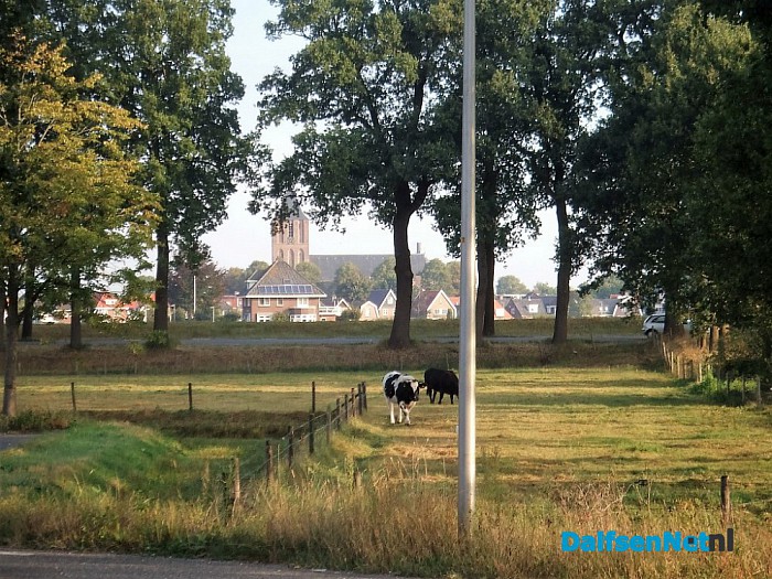 Kerkdijk Dalfsen een verdwenen weggetje - Foto: Wim