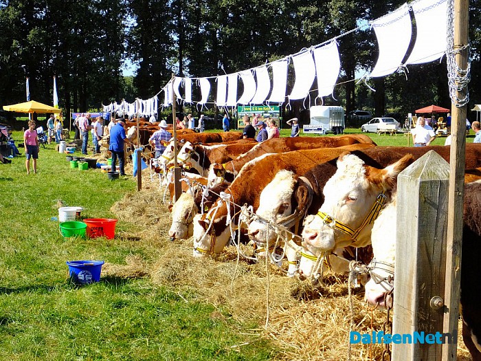 Proef Dalfsen komt al mooi op gang. - Foto: H.G. Foto