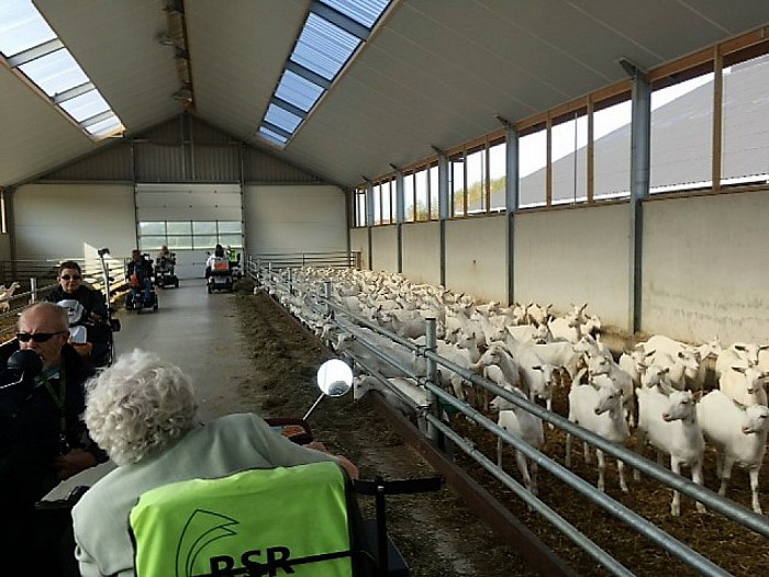 Scootmobiel tocht naar de geiten - Foto: Eigen geleverde foto