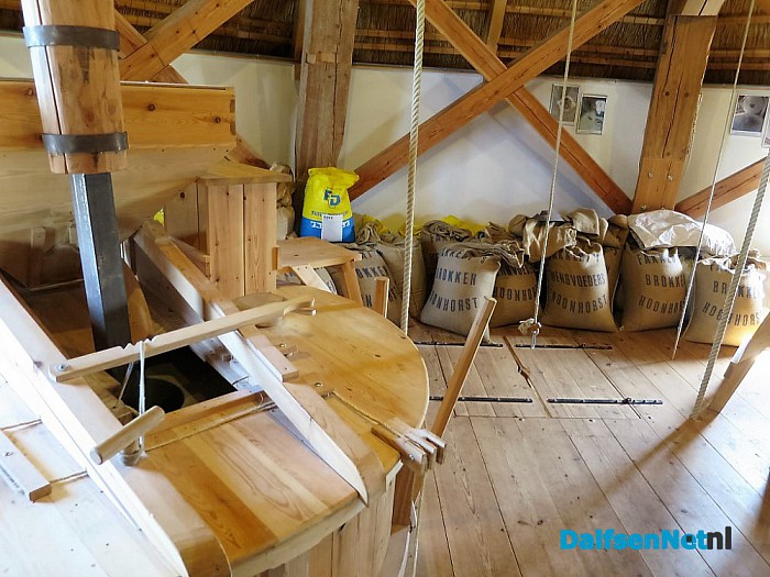 Molen Fakkert en het Anjerpunt waren ook open vandaag - Foto: Wim