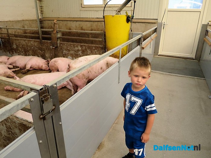 Lemelerveld had vandaag veel te bieden - Foto: Wim