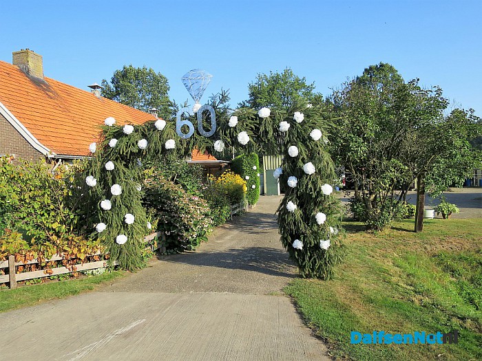 Zwanen op weg naar het grote feest - Foto: Wim