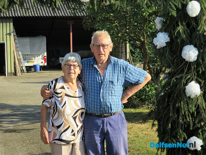 Zwanen op weg naar het grote feest - Foto: Wim
