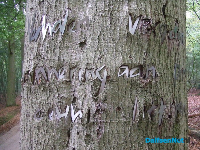 Vernieling? Of rekent boom af met kunstwerK? - Foto: Wim
