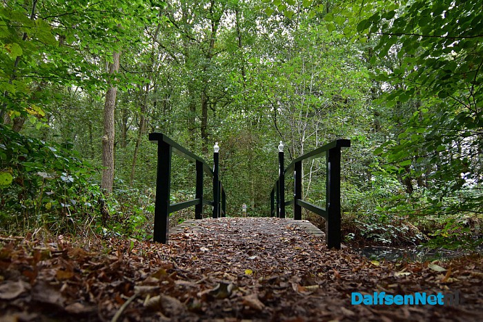Herfst rondom Dalfsen - Foto: Johan Bokma