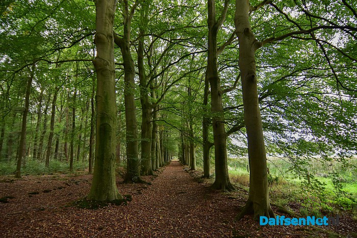 Herfst rondom Dalfsen - Foto: Johan Bokma