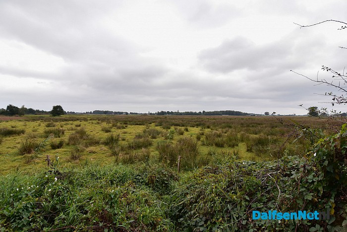 Herfst rondom Dalfsen - Foto: Johan Bokma