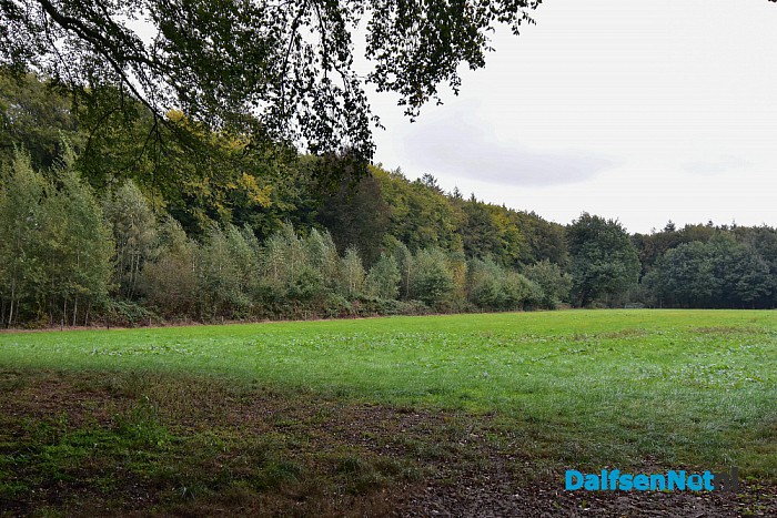 Herfst rondom Dalfsen - Foto: Johan Bokma