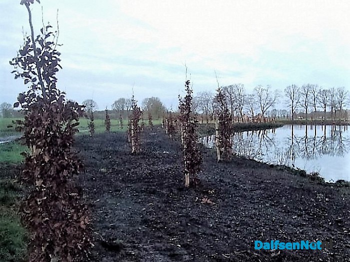 Werkgroep bosvrijwilligers op Den Berg