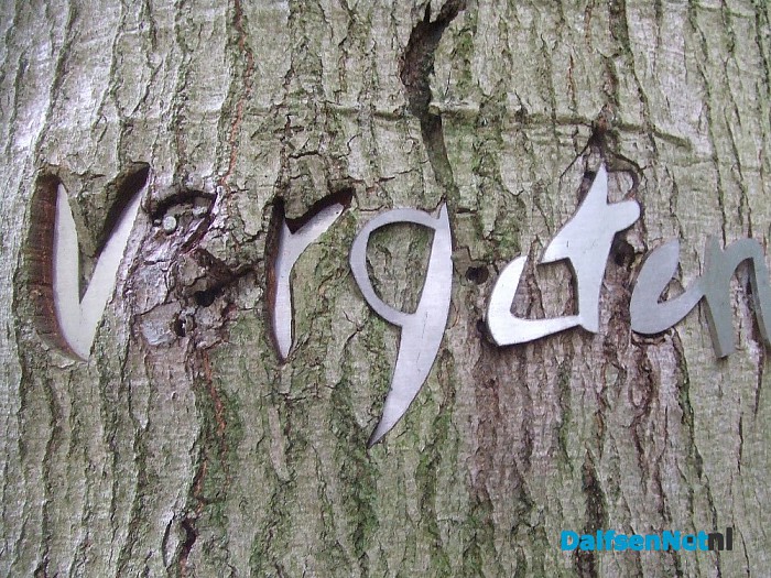 Vernieling? Of rekent boom af met kunstwerK? - Foto: Wim