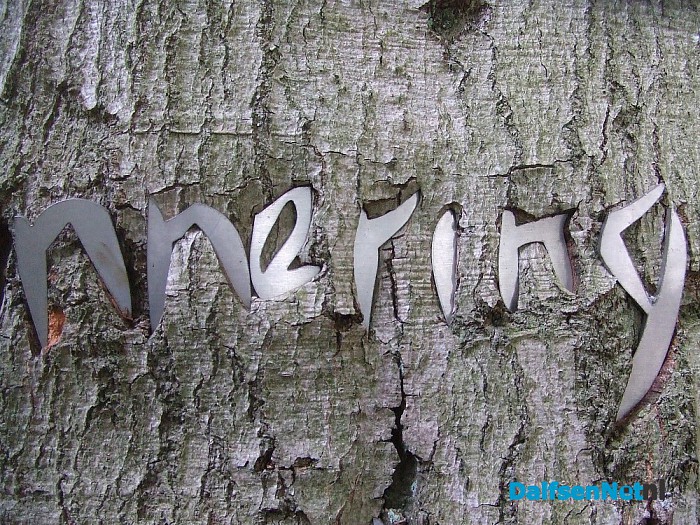 Vernieling? Of rekent boom af met kunstwerK? - Foto: Wim
