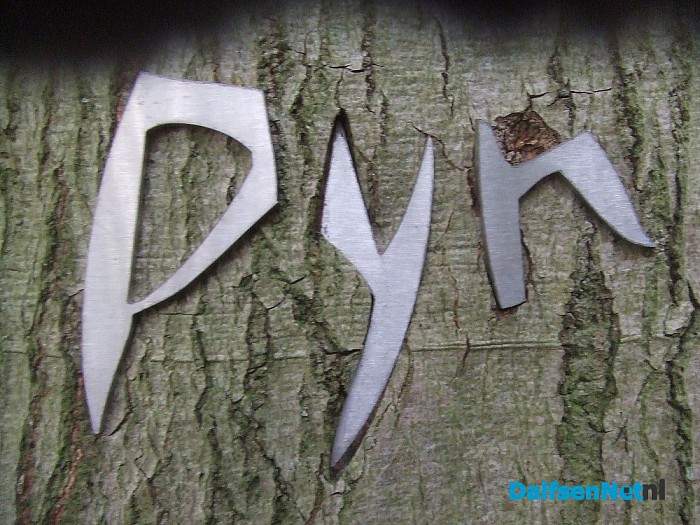 Vernieling? Of rekent boom af met kunstwerK? - Foto: Wim