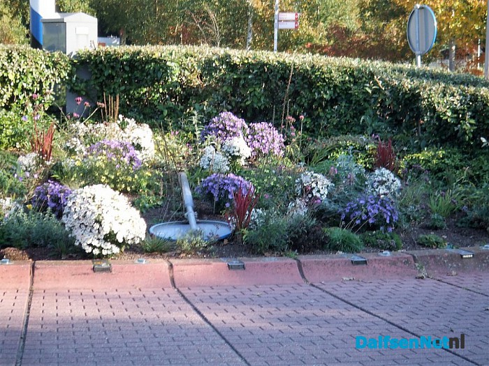 Politie Dalfsen “even de weg kwijt” - Foto: Wim