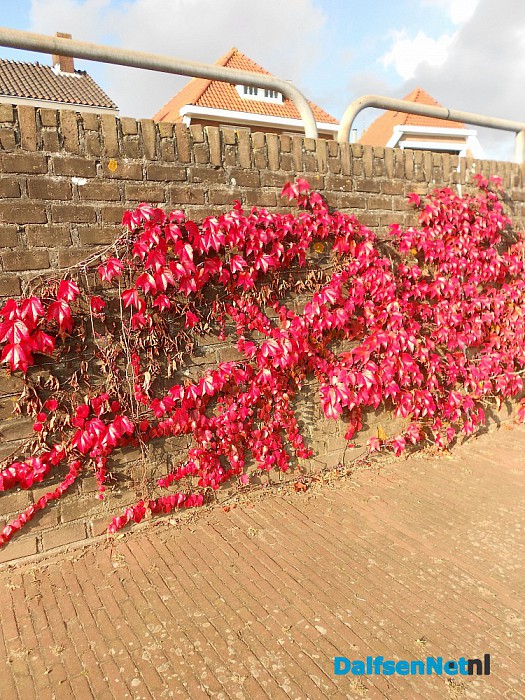 De kademuur