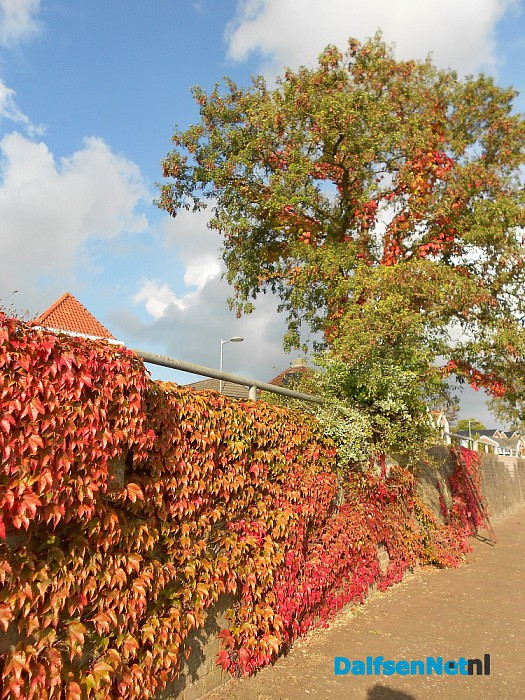 De kademuur