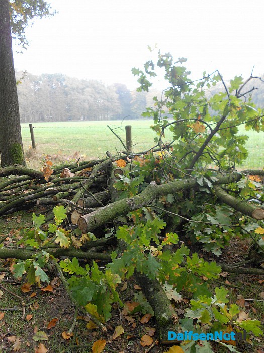 Landschap Overijssel op eigen erf bezig