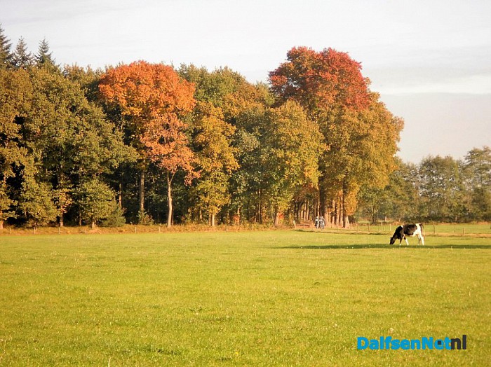 Herfst: weinig woorden, veel beelden