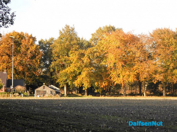 Herfst: weinig woorden, veel beelden