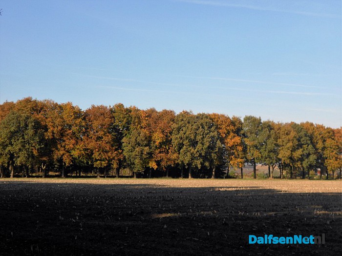 Herfst: weinig woorden, veel beelden
