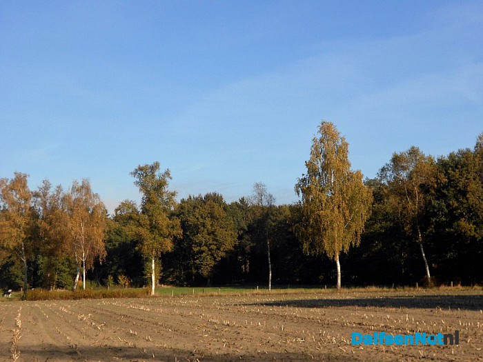 Herfst: weinig woorden, veel beelden