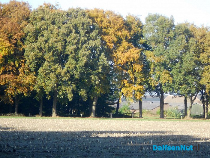 Herfst: weinig woorden, veel beelden