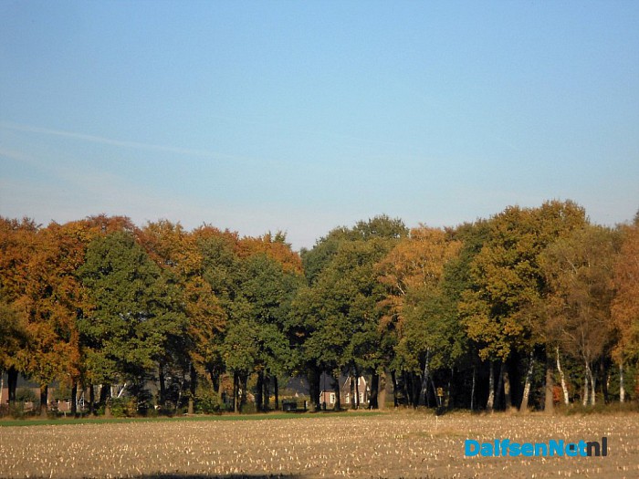 Herfst: weinig woorden, veel beelden
