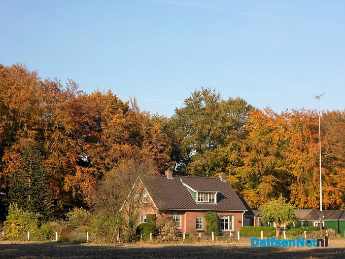 Herfst: weinig woorden, veel beelden