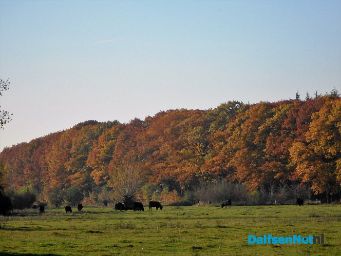 Herfst: weinig woorden, veel beelden