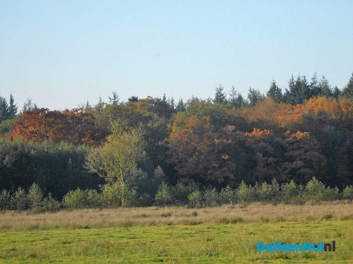 Herfst: weinig woorden, veel beelden