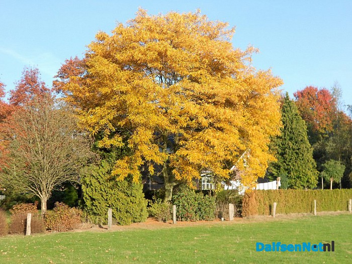 Herfst: weinig woorden, veel beelden