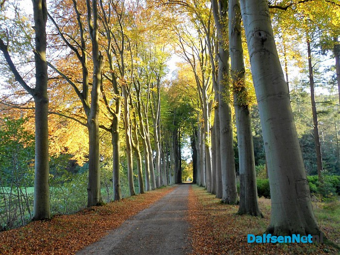 Herfst: weinig woorden, veel beelden