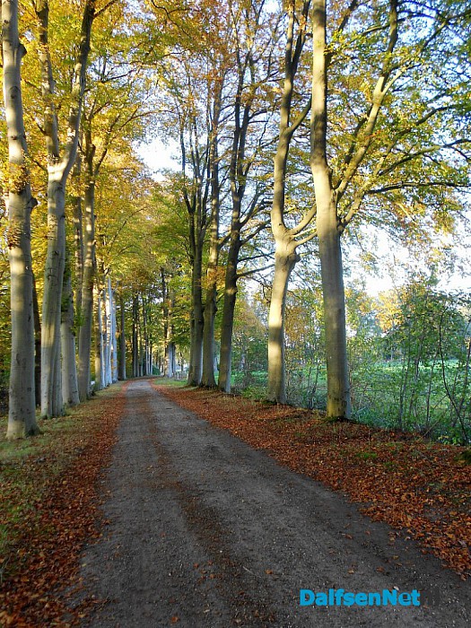 Herfst: weinig woorden, veel beelden