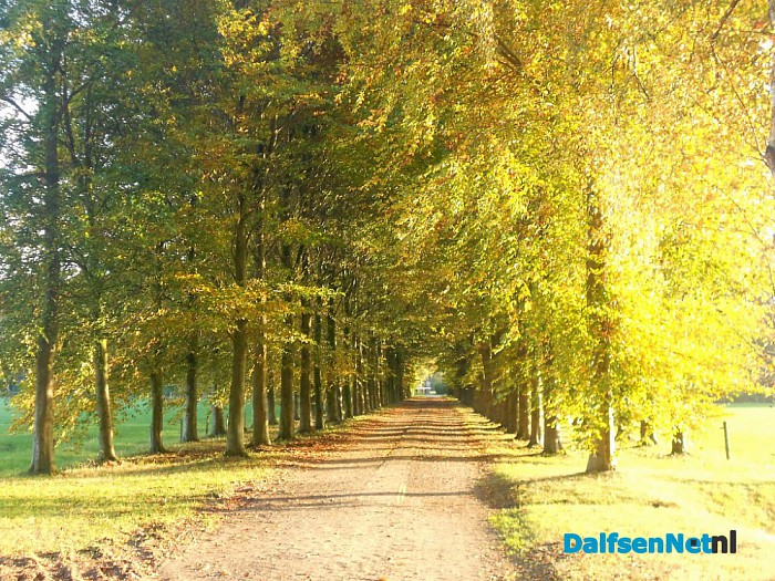 Herfst: weinig woorden, veel beelden