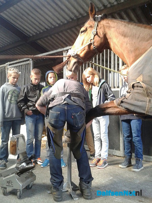 Roefeldag weer een groot succes! - Foto: Ingezonden foto