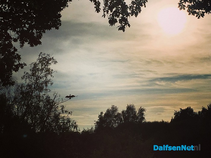 Foto’s van Bellingeweer op zondag 30 oktober - Foto: Ingezonden foto