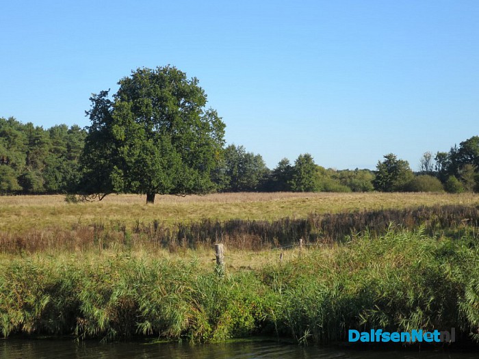 Geweldige excursie over de Vecht - Foto: Wim