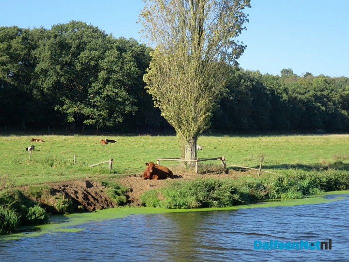 Geweldige excursie over de Vecht - Foto: Wim