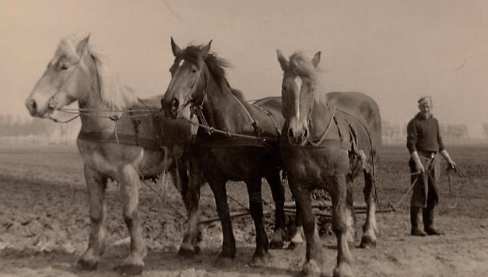 Boek, website en expositie over boeren in Overijssel - Foto: Eigen geleverde foto